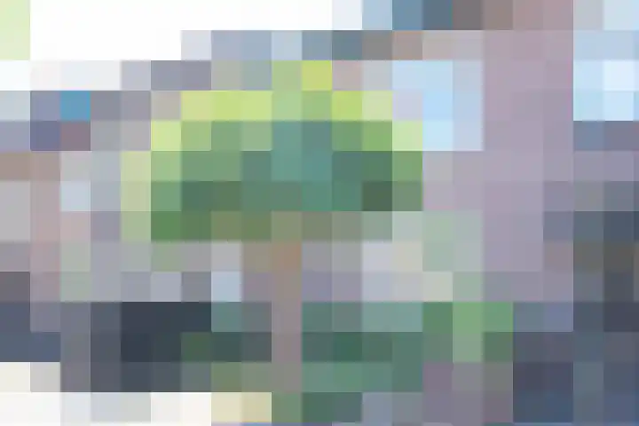 Acaciastraat 39 Haarlem thumbnail 35