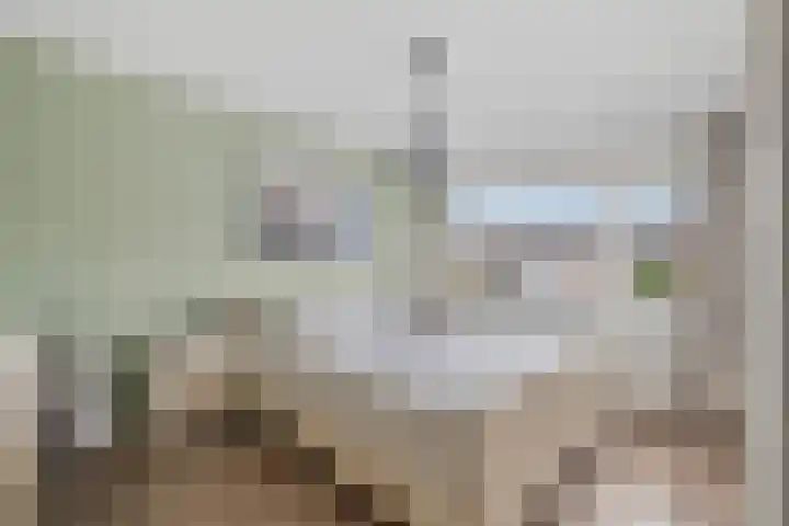 Acaciastraat 39 Oud-Beijerland thumbnail 15