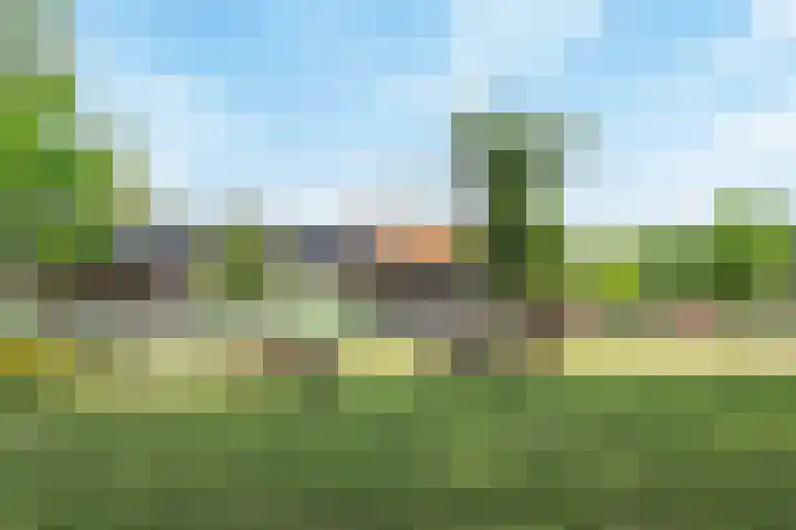 Acaciastraat 39 Oud-Beijerland thumbnail 31