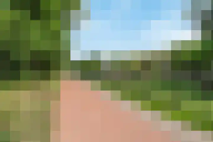 Acaciastraat 39 Oud-Beijerland thumbnail 32