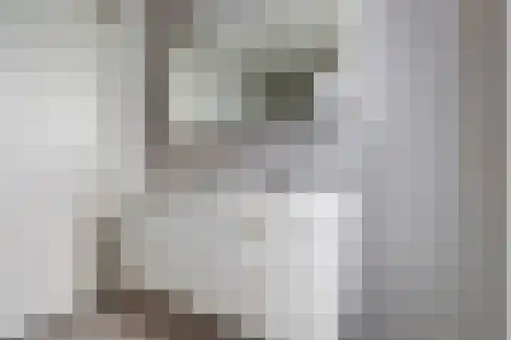Acaciastraat 4 Malden thumbnail 23