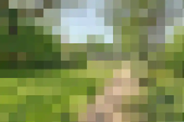 Acaciastraat 4 Malden thumbnail 37