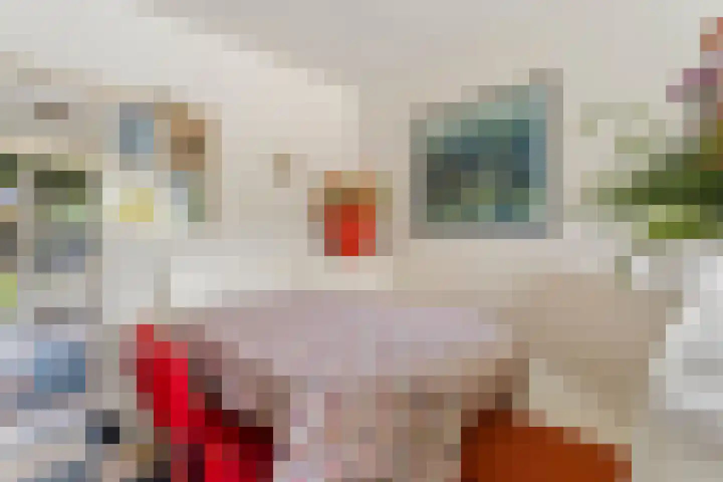 Acaciastraat 4 Zevenaar thumbnail 14