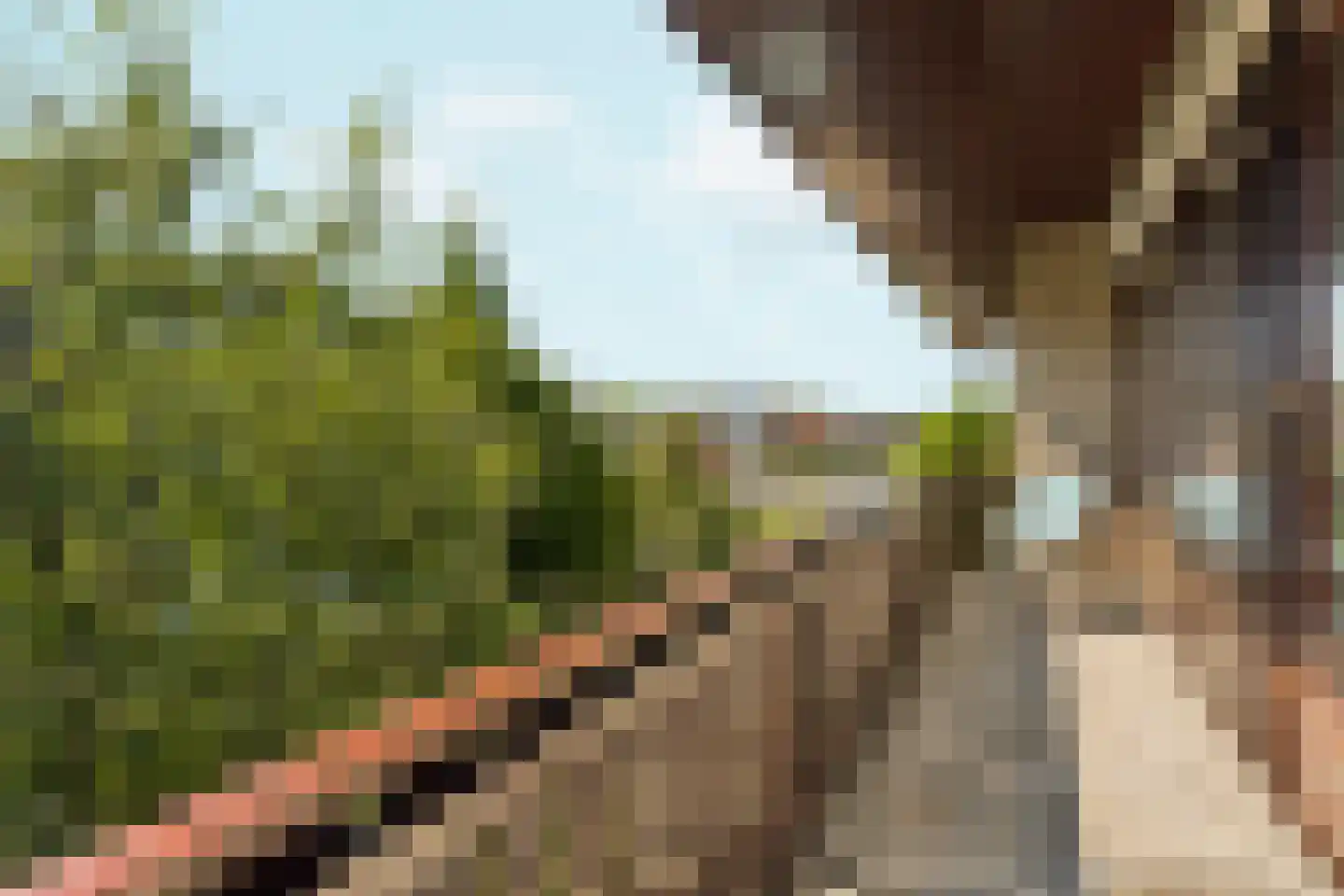 Acaciastraat 4 Zevenaar thumbnail 46
