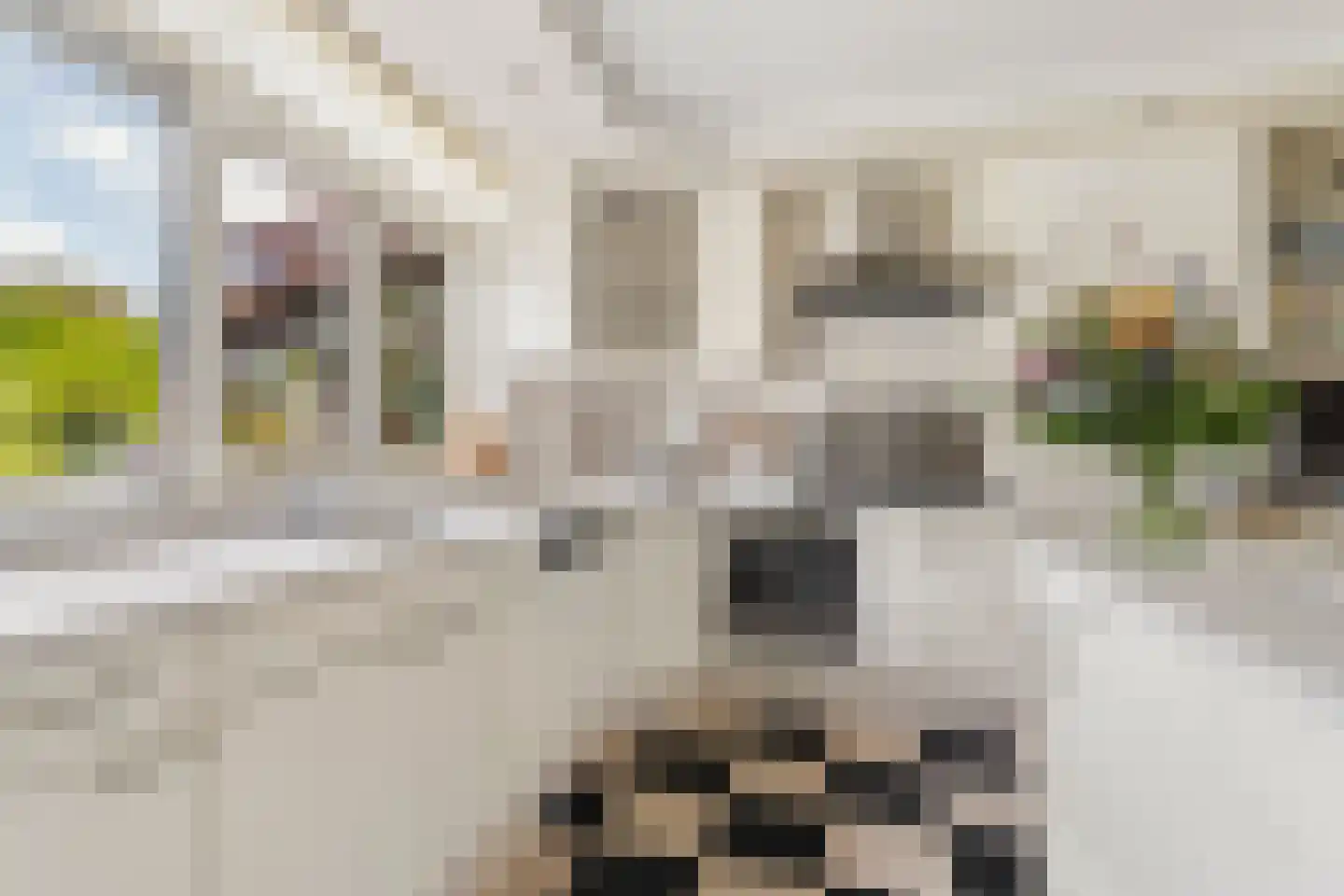 Acaciastraat 4 Zevenaar thumbnail 5