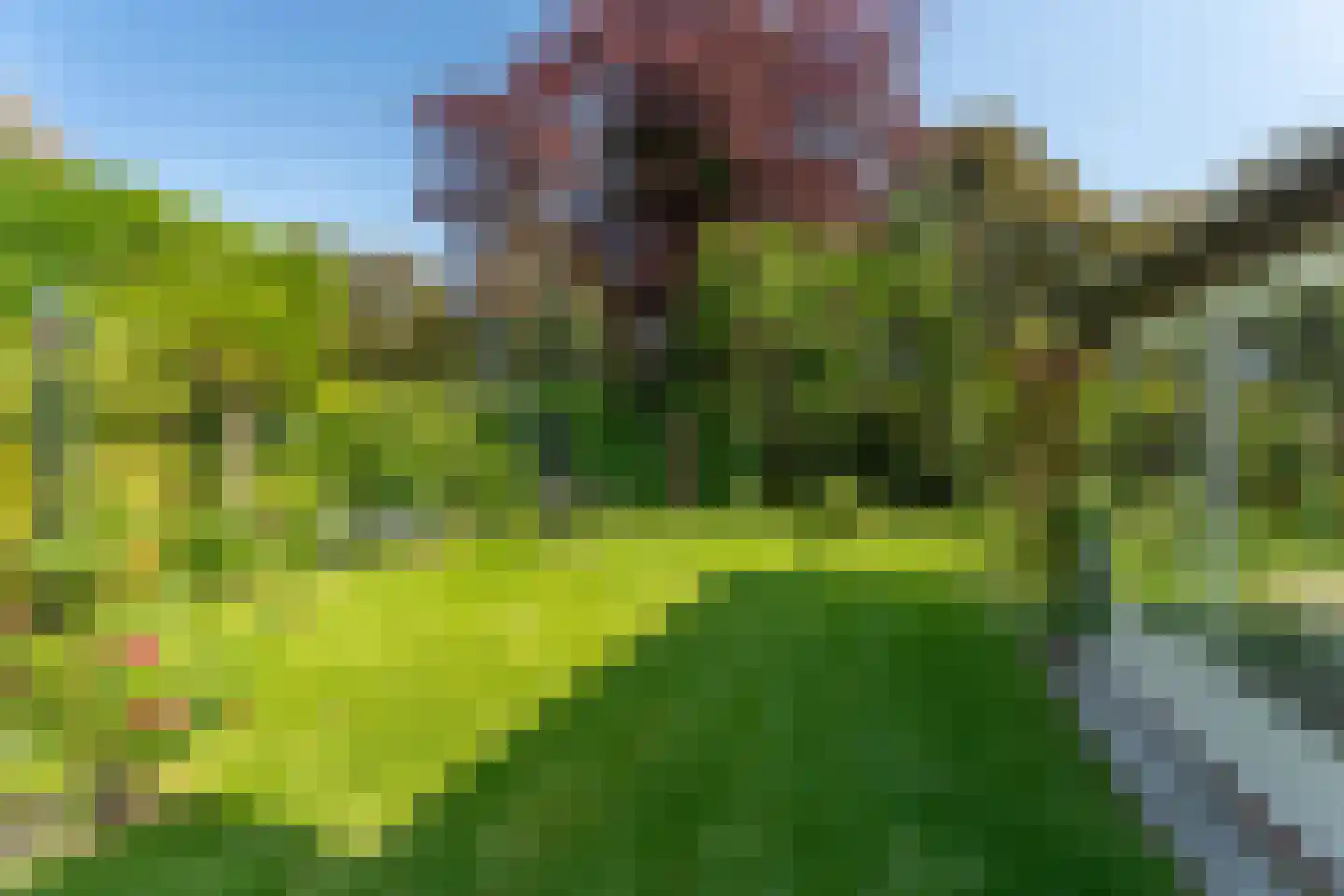 Acaciastraat 4 Zevenaar thumbnail 60