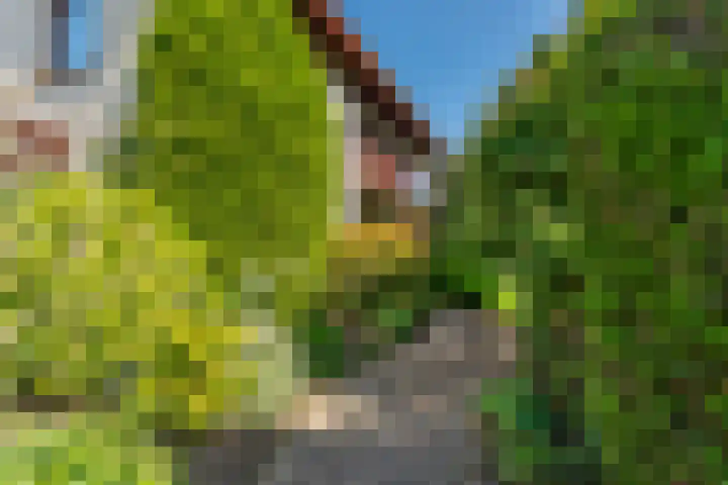 Acaciastraat 4 Zevenaar thumbnail 7