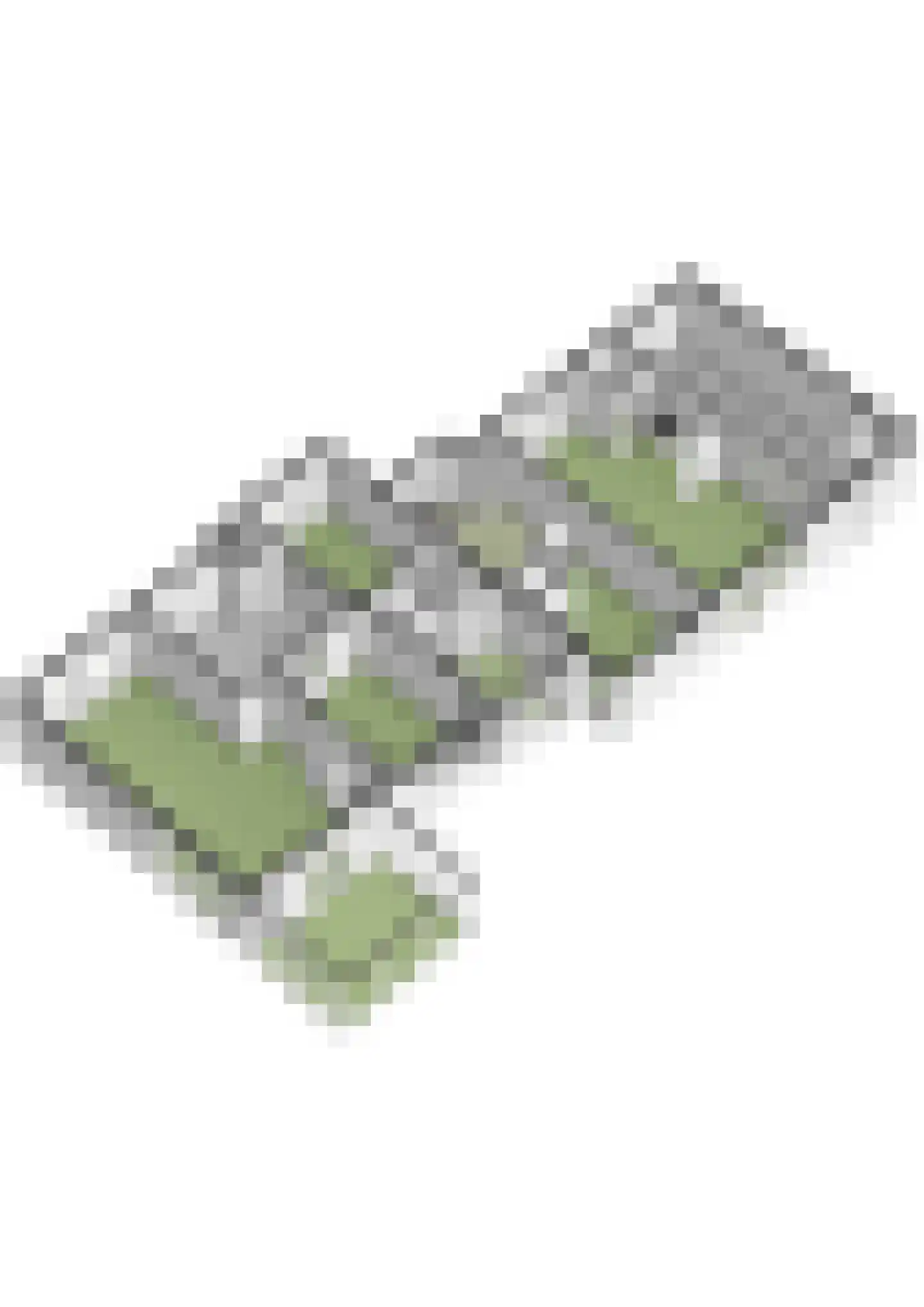 Acaciastraat 4 Zevenaar thumbnail 81
