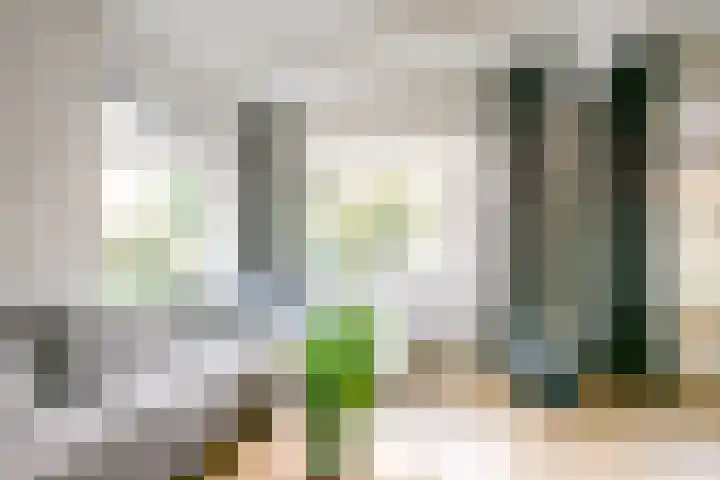 Acaciastraat 40 BS Utrecht thumbnail 11