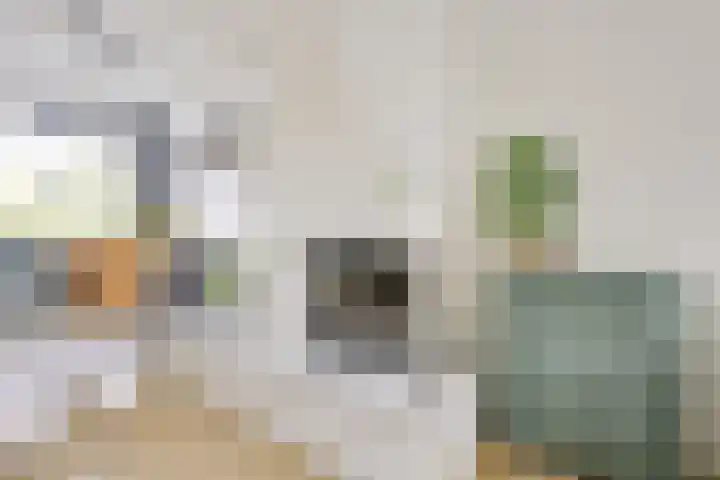 Acaciastraat 40 BS Utrecht thumbnail 14