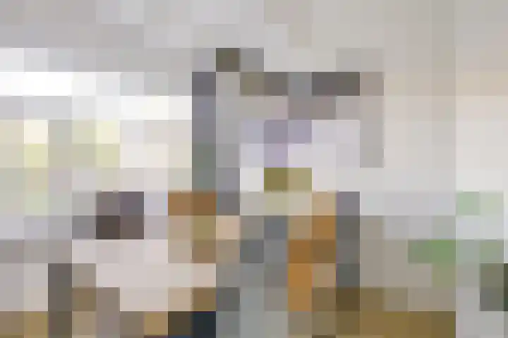 Acaciastraat 40 BS Utrecht thumbnail 15