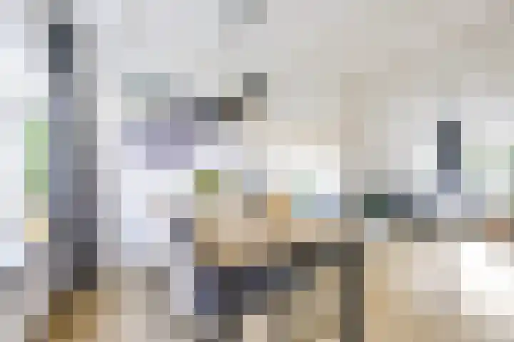 Acaciastraat 40 BS Utrecht thumbnail 16