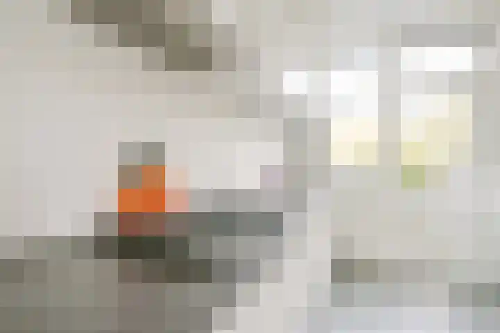 Acaciastraat 40 BS Utrecht thumbnail 20