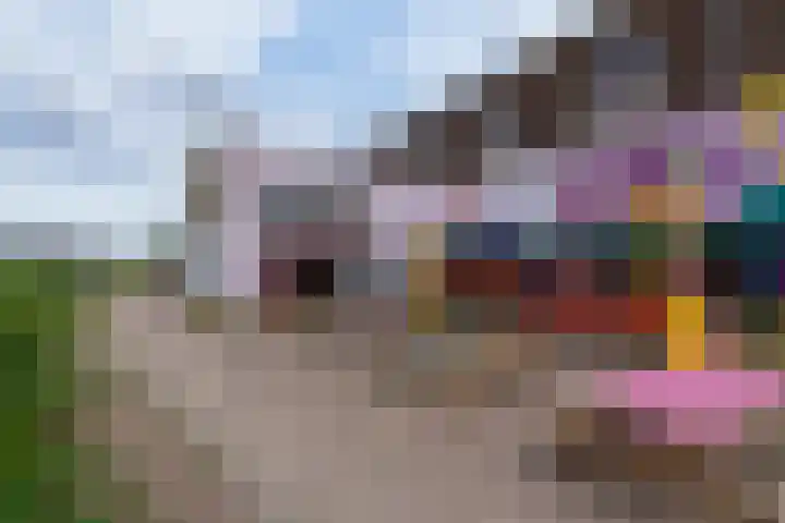 Acaciastraat 40 BS Utrecht thumbnail 43