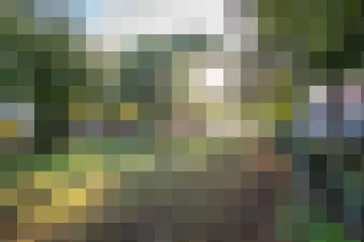 Acaciastraat 40 BS Utrecht thumbnail 46