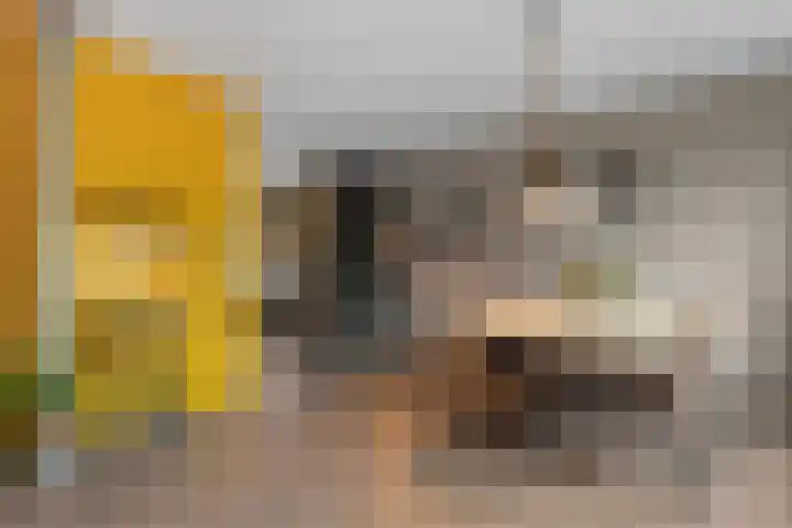Acaciastraat 41 Rouveen thumbnail 12