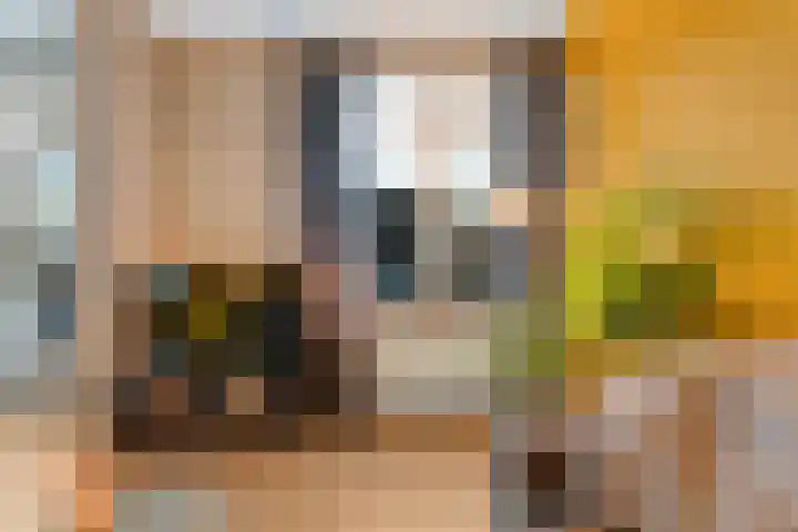 Acaciastraat 41 Rouveen thumbnail 15