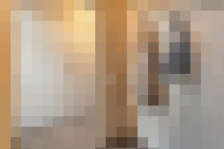 Acaciastraat 41 Rouveen thumbnail 17