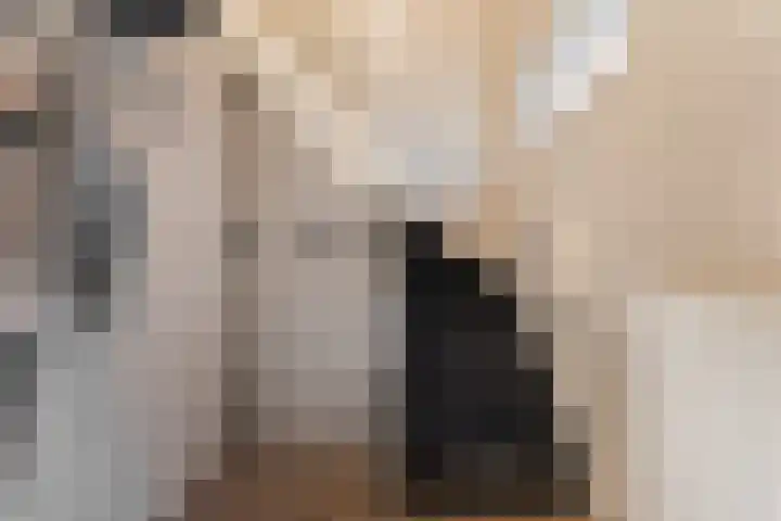 Acaciastraat 41 Rouveen thumbnail 21