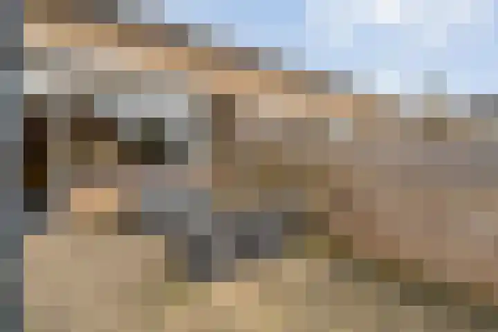 Acaciastraat 41 Rouveen thumbnail 33