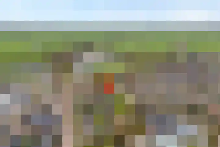 Acaciastraat 41 Rouveen thumbnail 4