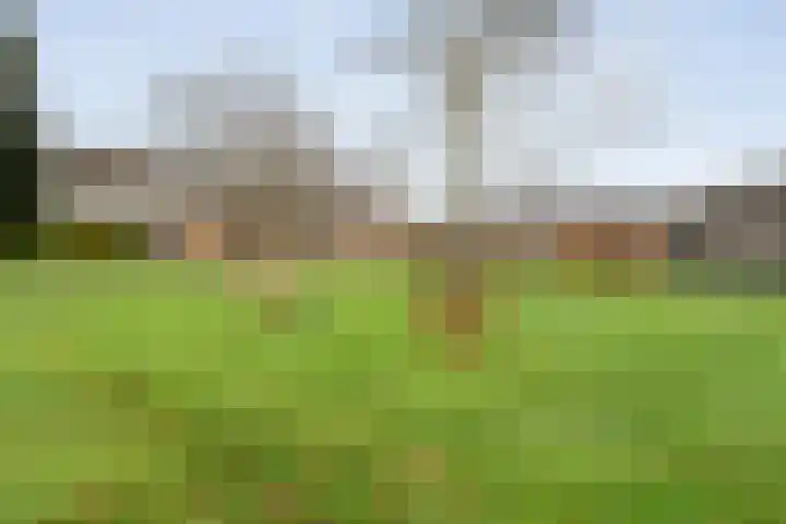 Acaciastraat 41 Rouveen thumbnail 40