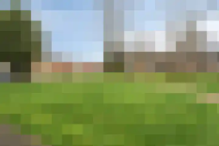 Acaciastraat 41 Rouveen thumbnail 41