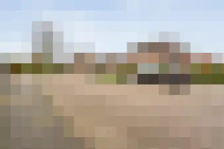 Acaciastraat 41 Rouveen thumbnail 42