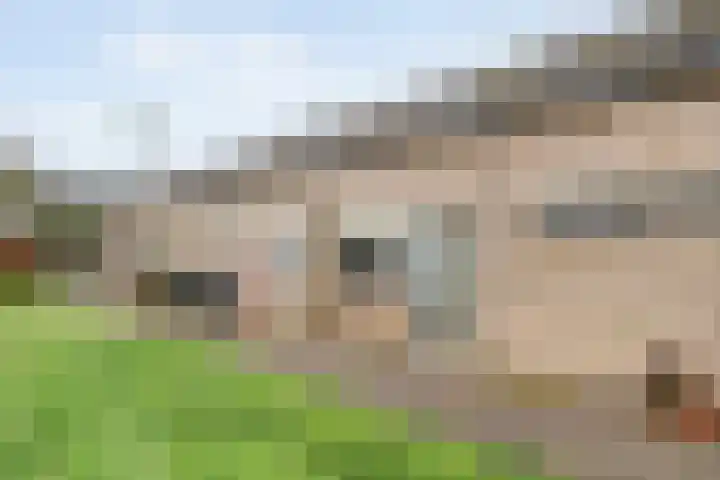 Acaciastraat 41 Rouveen thumbnail 43