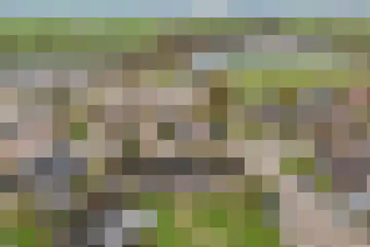 Acaciastraat 41 Rouveen thumbnail 47