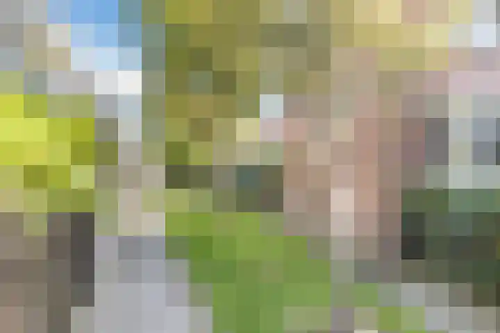 Acaciastraat 42 Zaandam thumbnail 32
