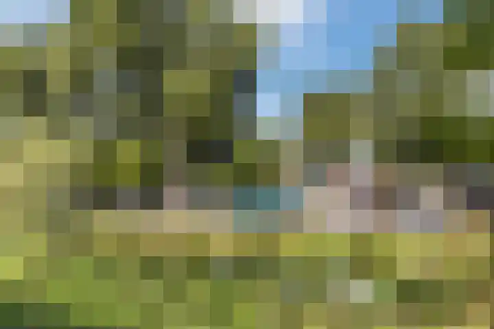 Acaciastraat 42 Zaandam thumbnail 33