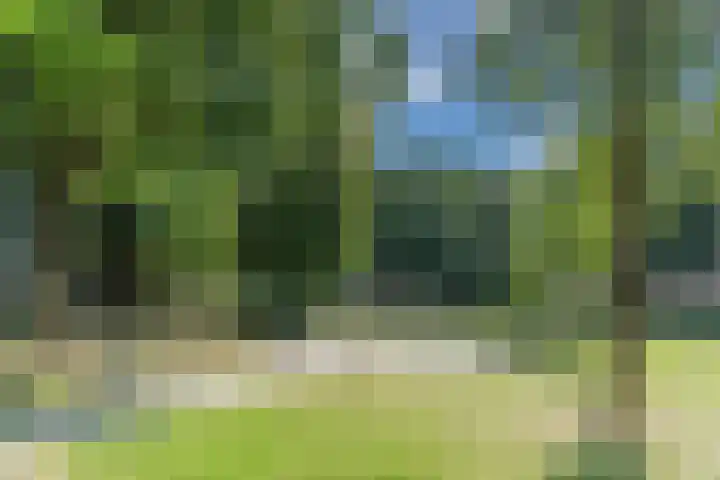 Acaciastraat 44 Breda thumbnail 8