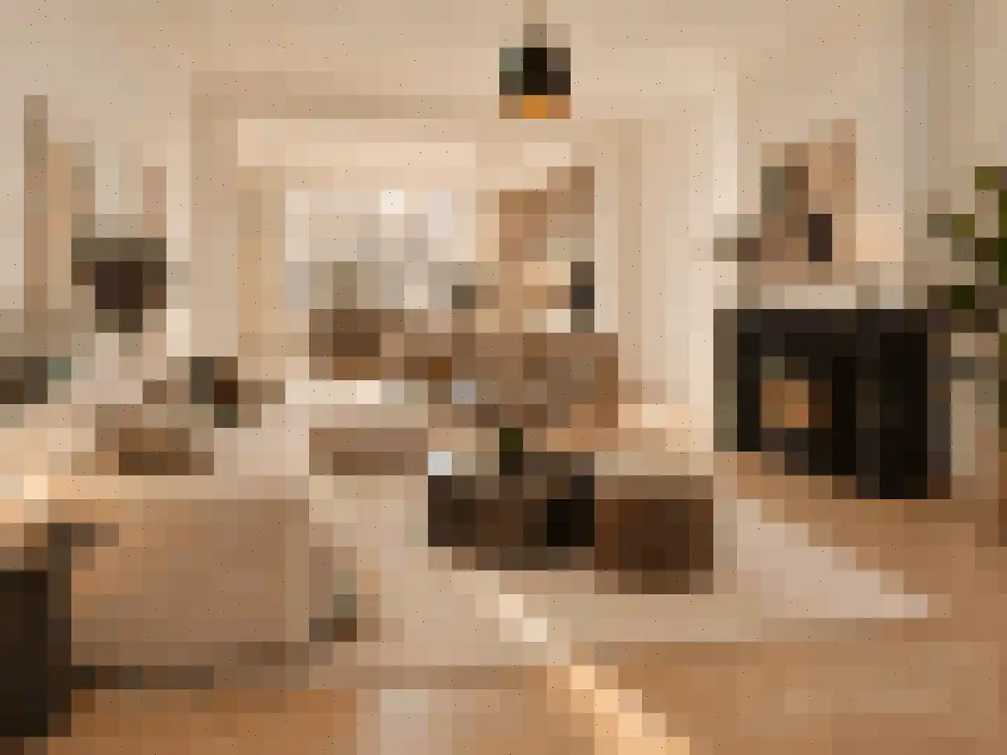 Acaciastraat 44 Den Haag thumbnail 10