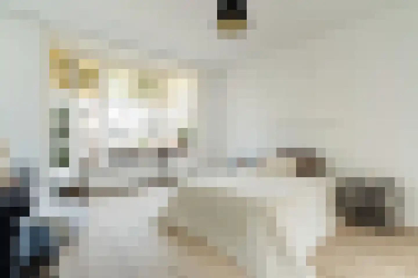 Acaciastraat 44 Den Haag thumbnail 8