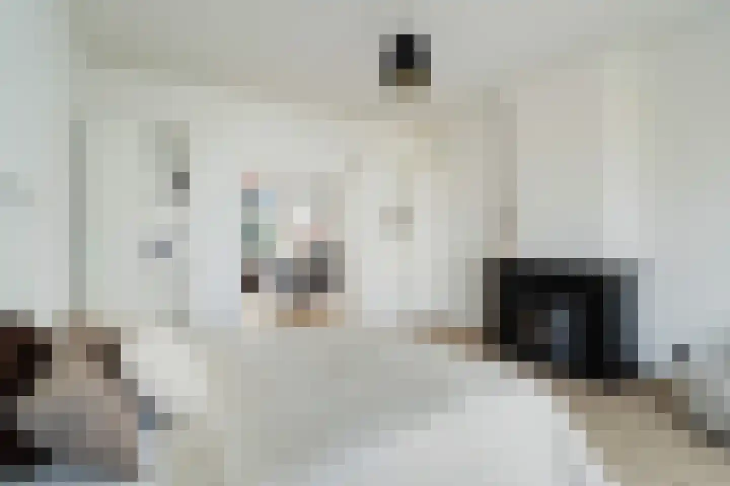 Acaciastraat 44 Den Haag thumbnail 9