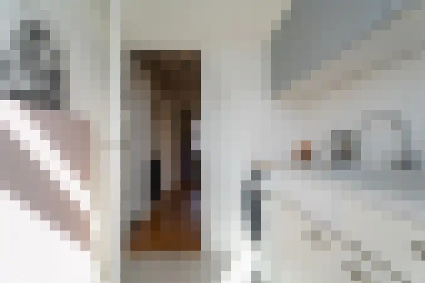 Acaciastraat 45 Breda thumbnail 31