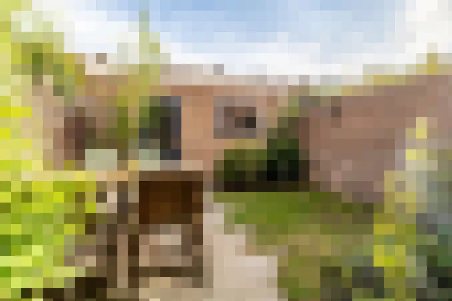 Acaciastraat 47 Breda thumbnail 27