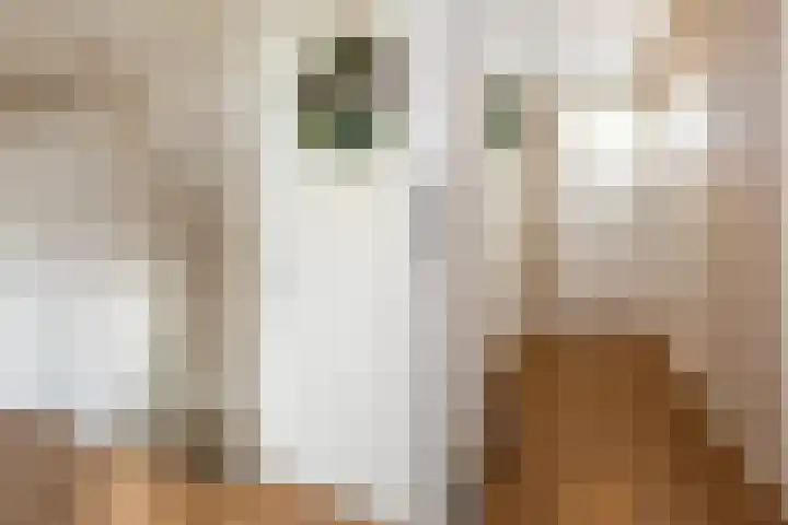 Acaciastraat 5 Aalten thumbnail 18