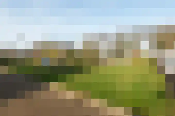 Acaciastraat 5 Aalten thumbnail 24