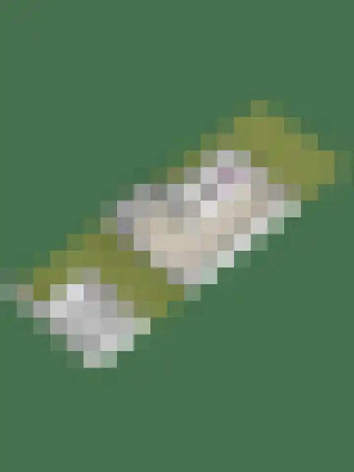 Acaciastraat 5 Aalten thumbnail 30