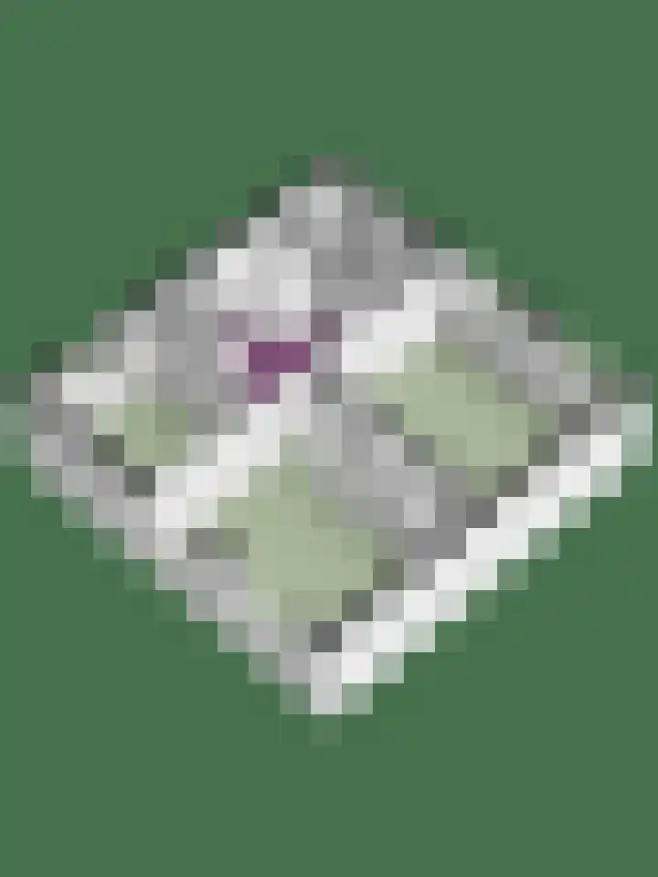 Acaciastraat 5 Aalten thumbnail 32