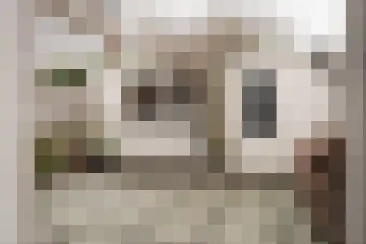 Acaciastraat 5 Haarlem thumbnail 13