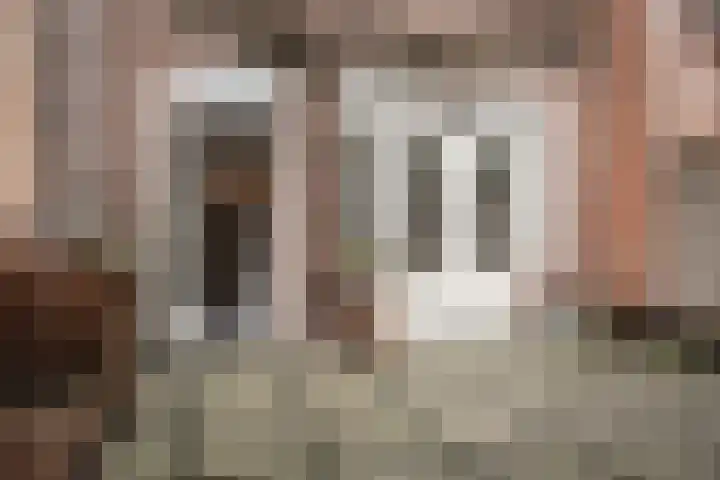 Acaciastraat 5 Haarlem thumbnail 16