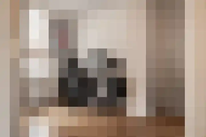 Acaciastraat 5 Haarlem thumbnail 23