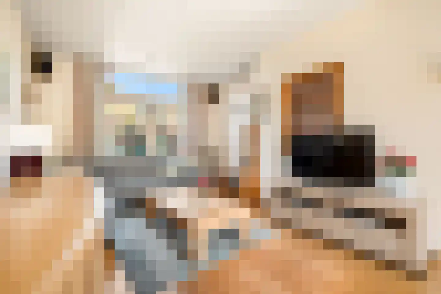 Acaciastraat 51 Haarlem thumbnail 13