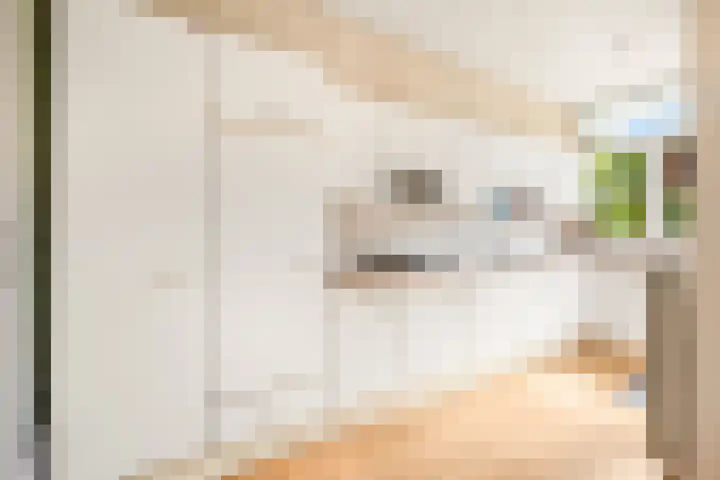 Acaciastraat 51 Haarlem thumbnail 20