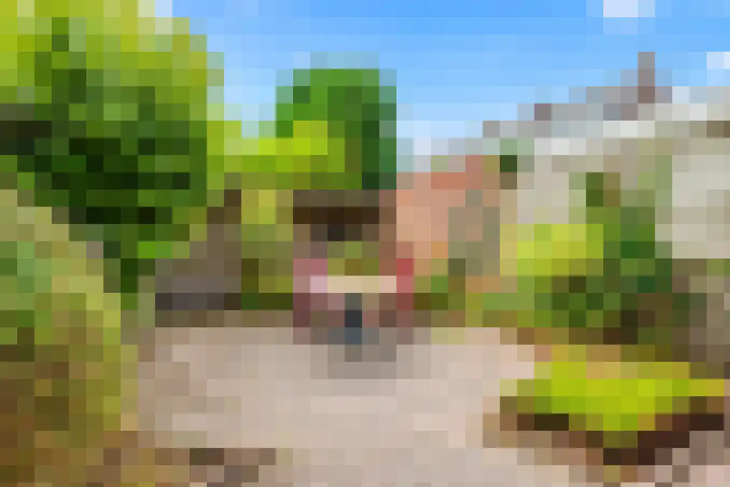 Acaciastraat 51 Haarlem thumbnail 28