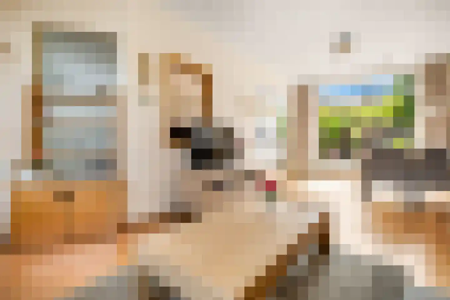 Acaciastraat 51 Haarlem thumbnail 4