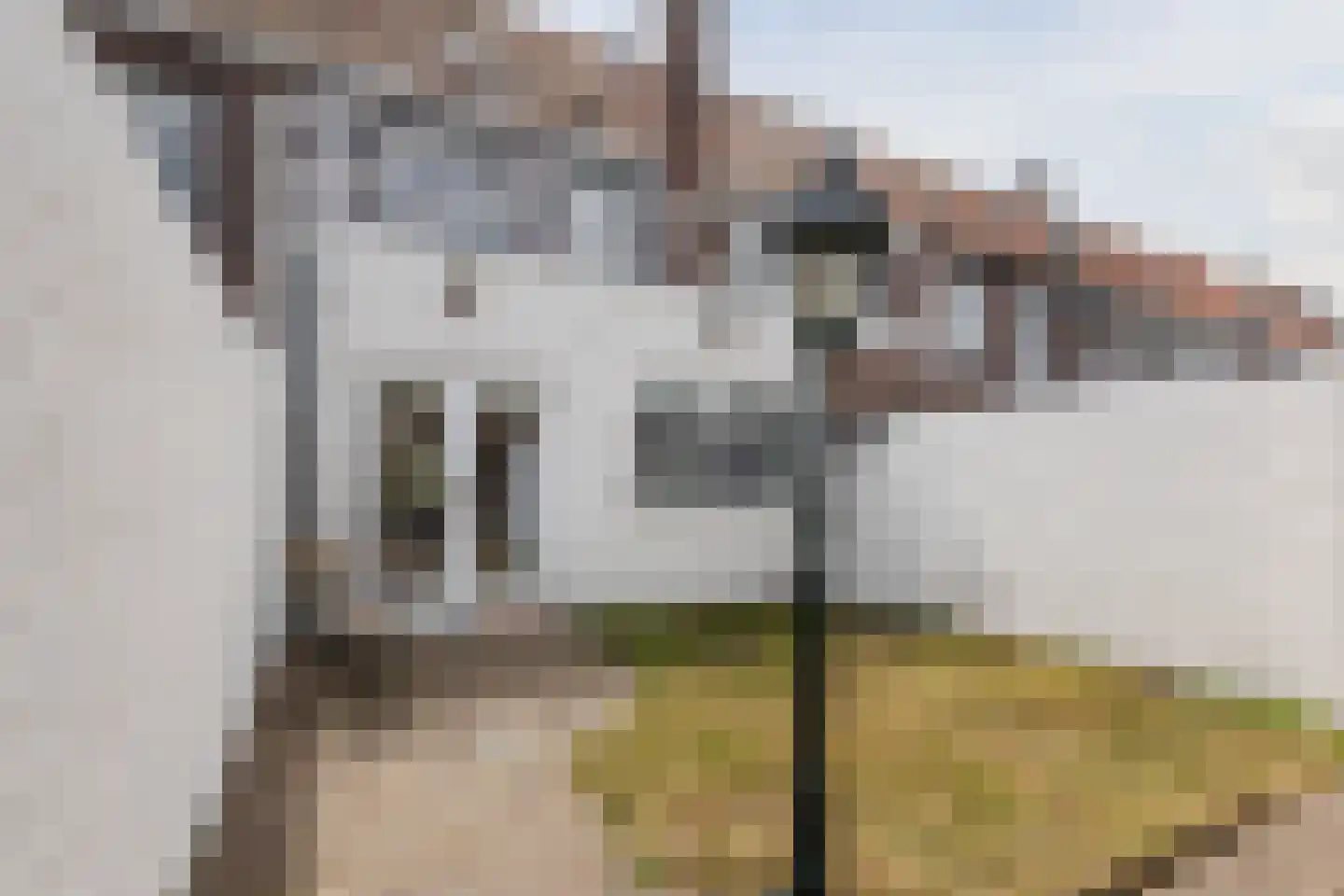 Acaciastraat 54 Breda thumbnail 26